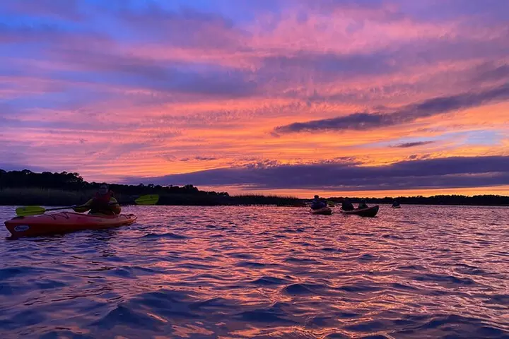 2-Hour Hilton Head Guided Kayak Nature Tour