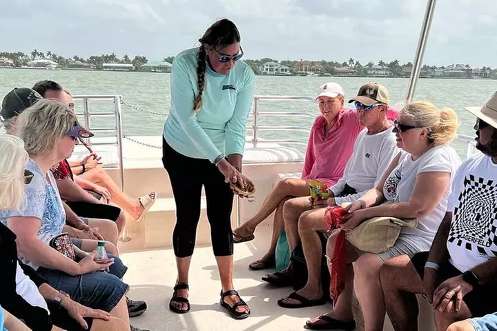 Marco Island Wildlife Sightseeing and Shelling Tour