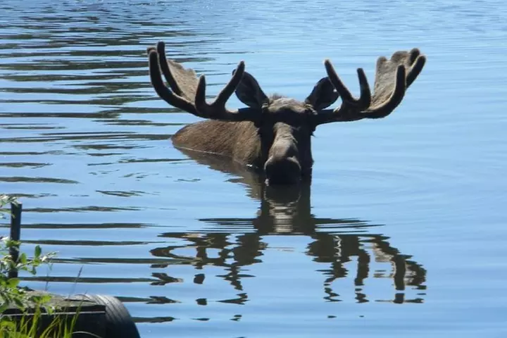 Anchorage to Whittier Cruise Transfer and Private Tour