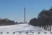 Washington Private Sightseeing Tour with Daily Chauffeur - Second Medium