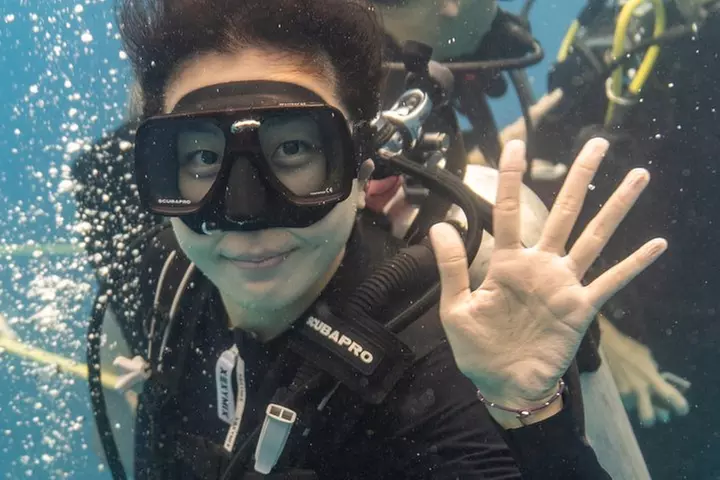 Incredibly Fun Coral Reef Giant Sea Turtles 4hour Boat Scuba Tour