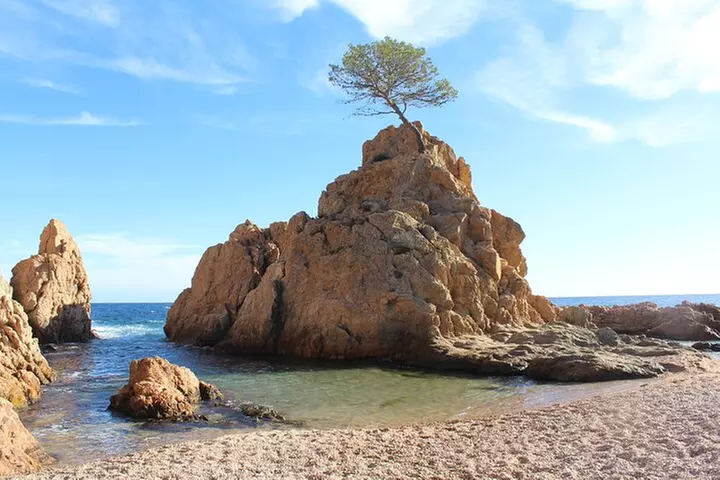 Tour turístico de un día por la Costa Brava con paseo en barco desd...