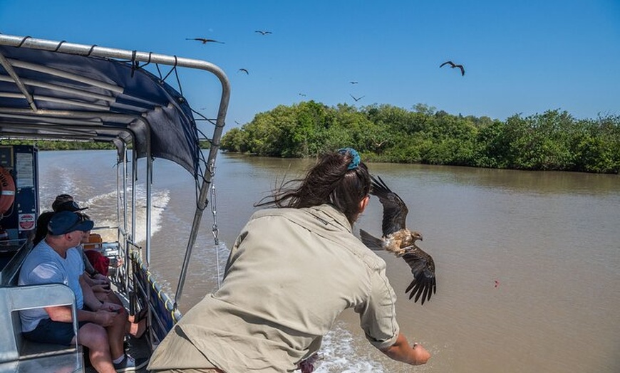 Image 4: 1 Hour Jumping Crocodile Cruise on the Adelaide River