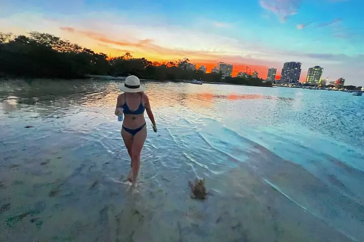 Miami Private Boat Rental to Sandbars and More