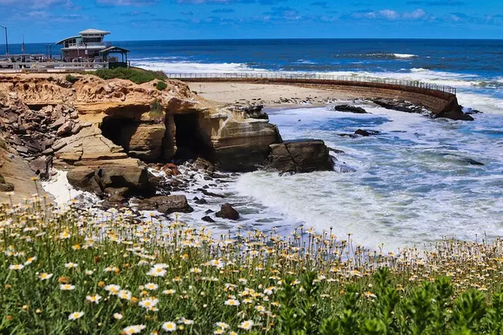 Beaches & Bluffs San Diego's Ultimate Coastal Driving Tour