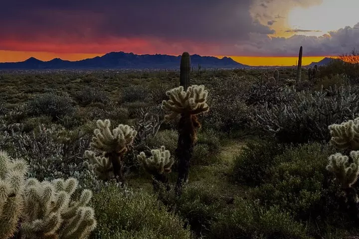 Sonoran Desert Jeep Tour at Sunset