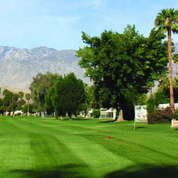 Date Palm Country Club, 36200 Date Palm Drive, Cathedral City, CA - Groupon