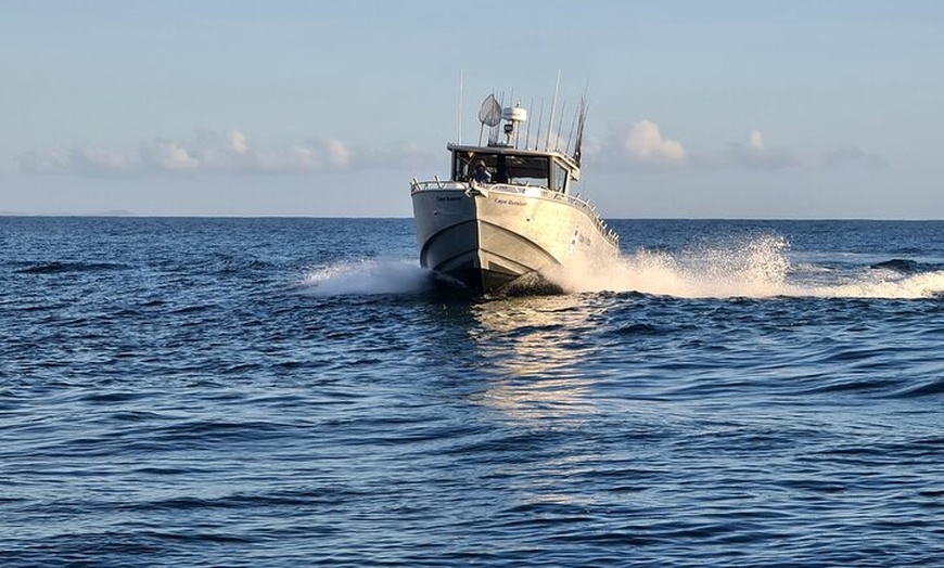 Image 4: Fishing Charter in Pelican Waters