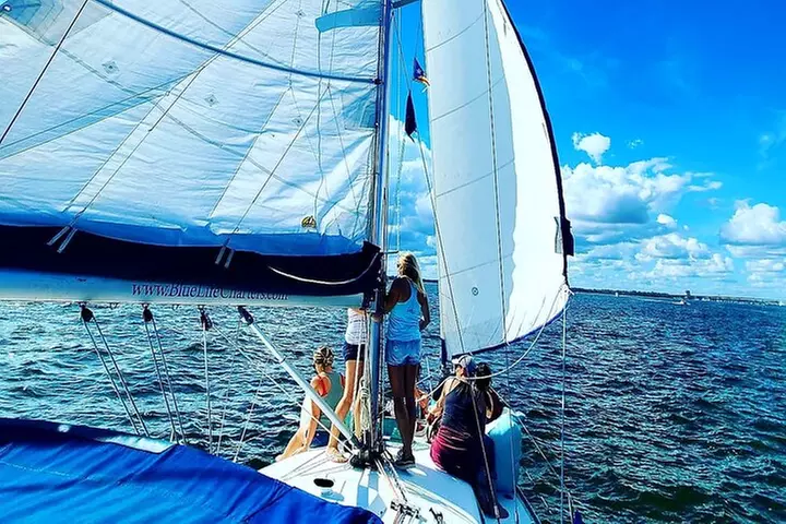 Private Luxury Yacht Charters, BYOB & Dolphins