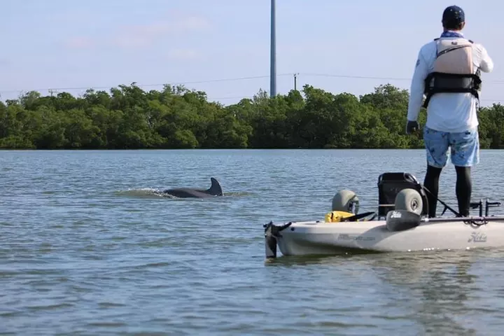 Kayak Tour Adventure Marco Island and Naples Florida