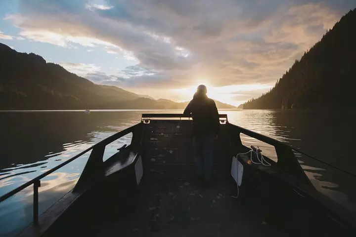 Alaska Wildlife Tour in Kachemak Bay - Primary Image