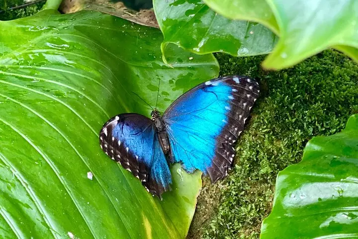 Ft. Lauderdale to Key West Day Trip Quality Day Tours