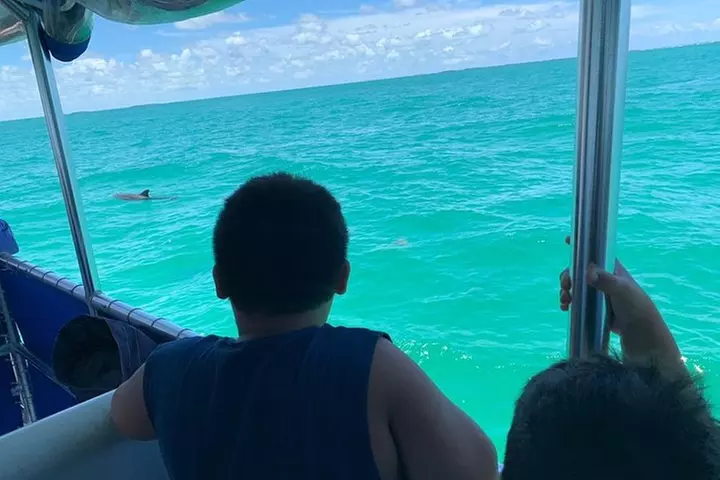 Key West Dolphin Watch and Snorkel Tour - Eco Adventure