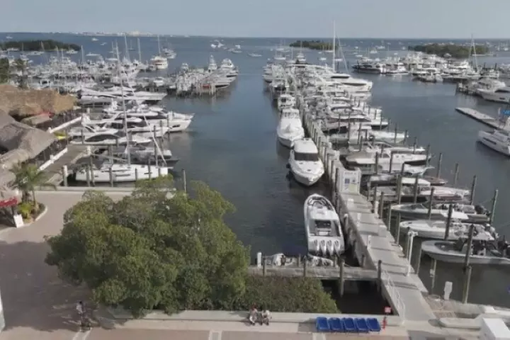 Miami Boat Tour –Day and Night Cruises with Champagne