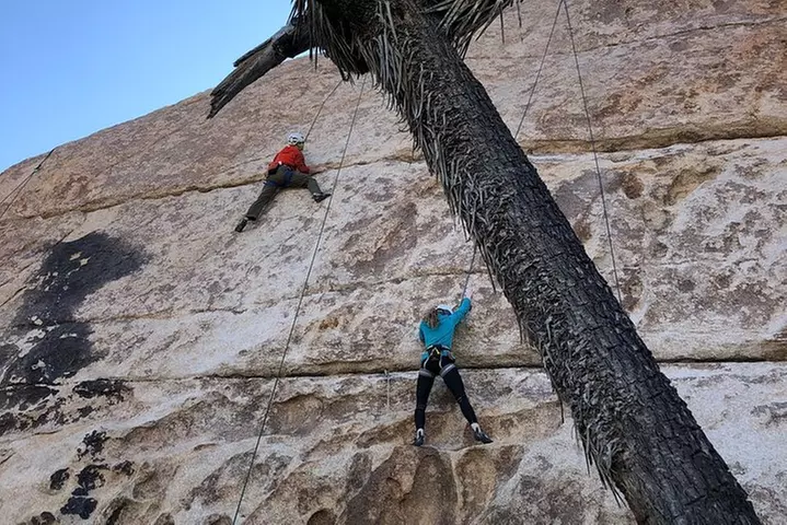 Beginner Group Rock Climbing in Joshua Tree National Park