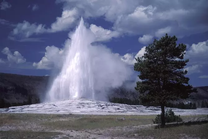 Yellowstone Lower Loop Full-Day Tour - Primary Image