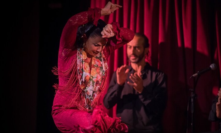 Image 4: Espectáculo auténtico de flamenco. Alegria y gastronomia Málaga