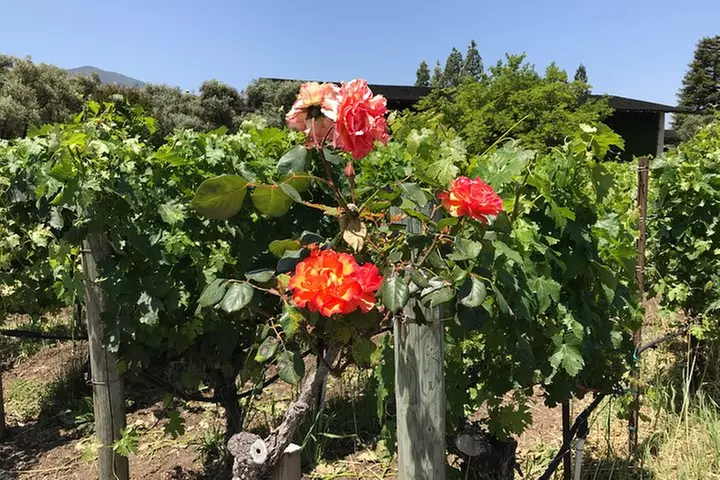 6-Hours Customized Private NAPA Valley Wine Tour From San Francisco...