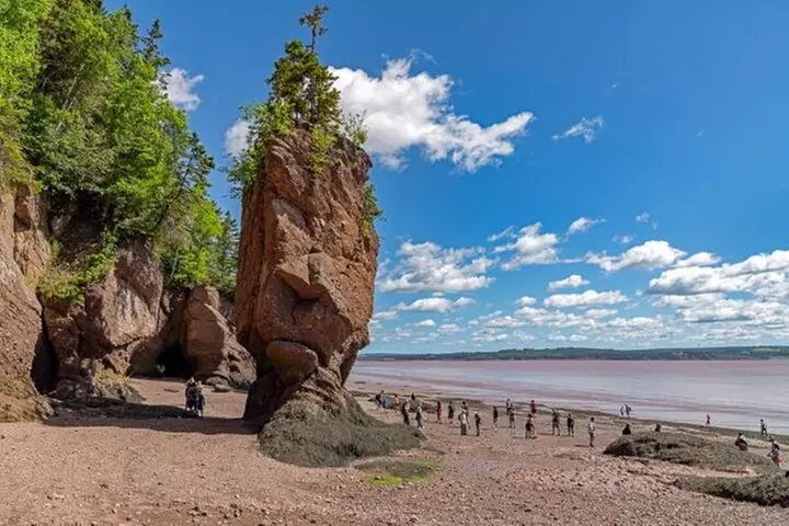 Saint John Bay of Fundy and Hopewell Rocks Private Tour - Primary Image