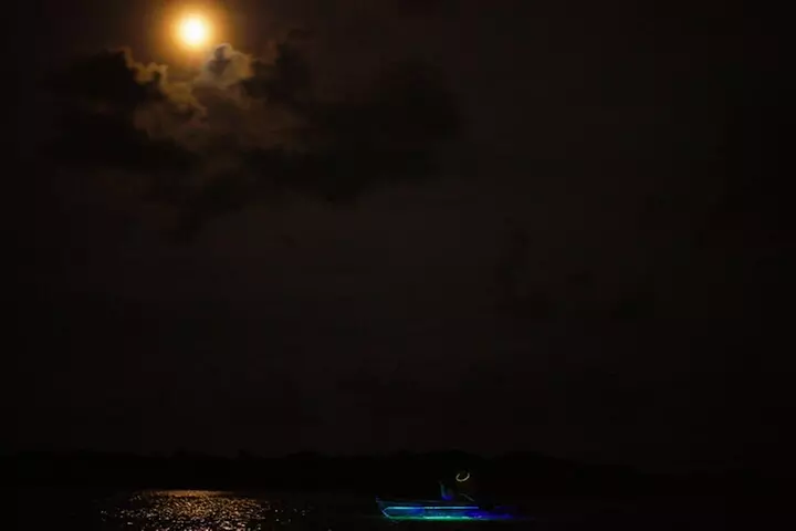 Clear Kayak Glow Tour Destin Ft. Walton Beach