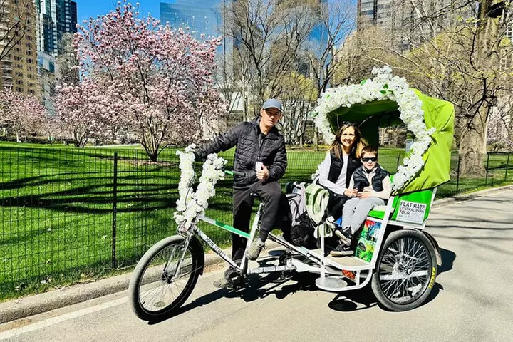 Central Park 2 - Hours Private Pedicab Guided Tour
