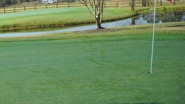 Online Booking - Round of Golf at Palm Valley Golf Club - (Walking ...