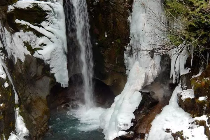 Mt. Rainier National Park Highlights Tour