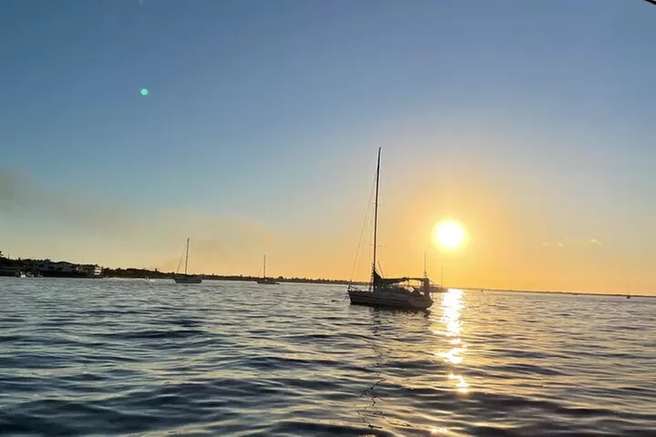 Key Largo Bay Dolphin Sunset Tour