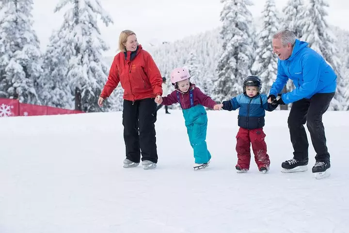 Grouse Mountain Admission - Primary Image
