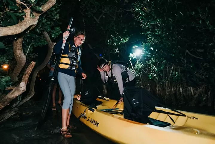 Thousand Islands Bioluminescent Kayak Tour with Cocoa Kayaking!