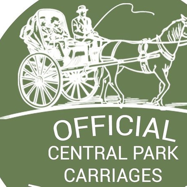 central park carriage ride groupon