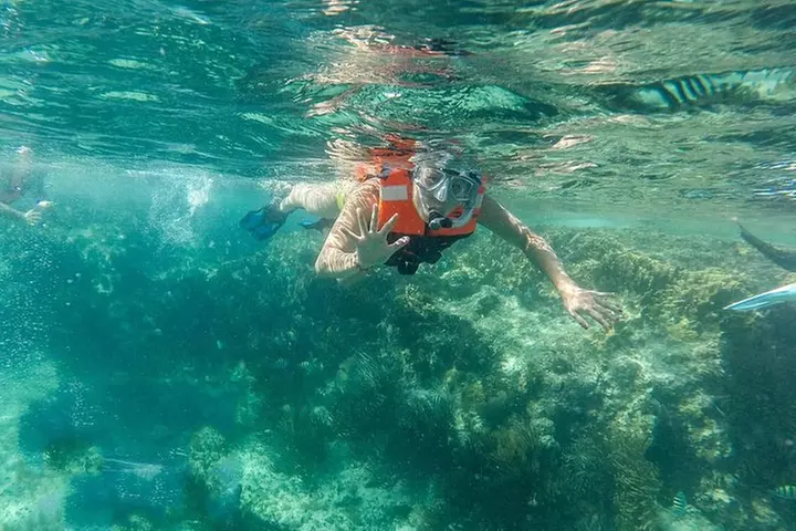 Top Sailing to Isla Mujeres with lunch and open bar from Cancun