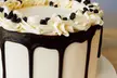 5% Cash Back at HaleLife Bakery St Pete - Second Medium