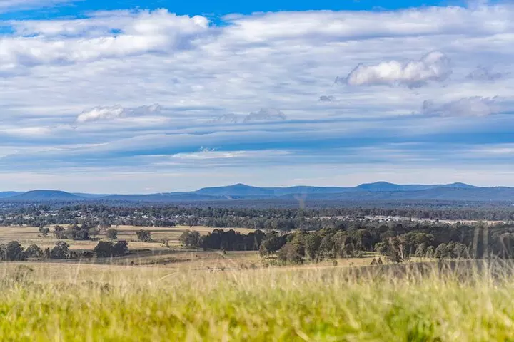 Hunter Valley Wine Tour from Sydney with Lunch and 3 Cellar Door Ta...