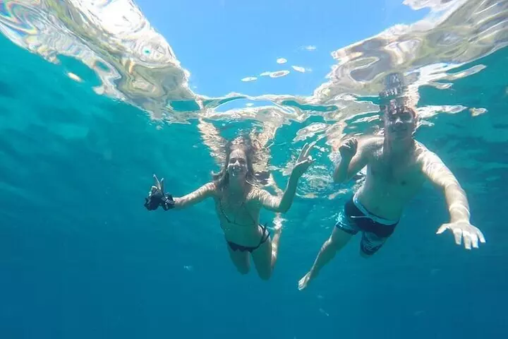 Vues de randonnée guidées sur le littoral caché de Toulon et arrêt de baignade - Primary Image