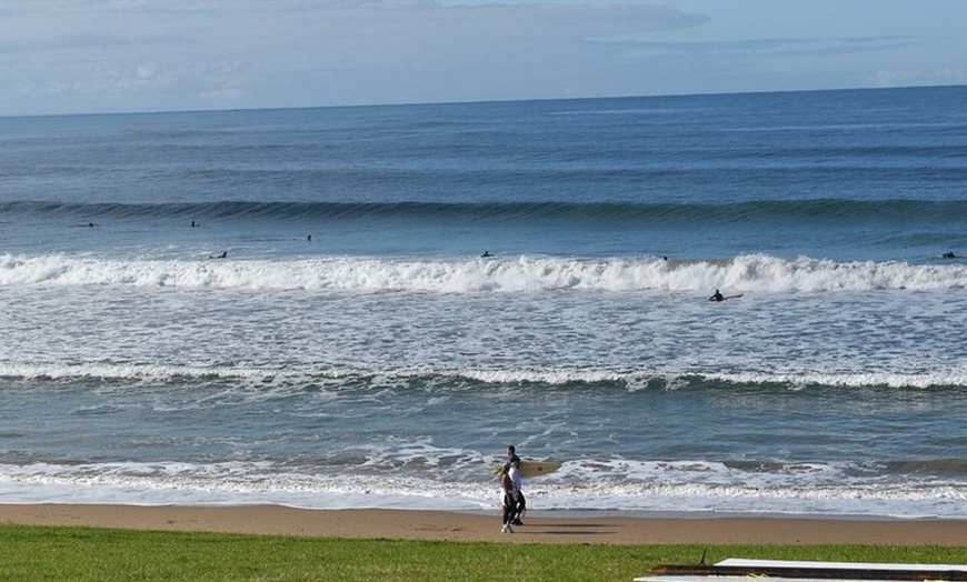 Image 7: Great Ocean Road Tour Plus Koalas, Forest Walk And Morning Tea.