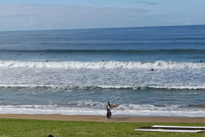 Great Ocean Road Tour Plus Koalas, Forest Walk And Morning Tea.