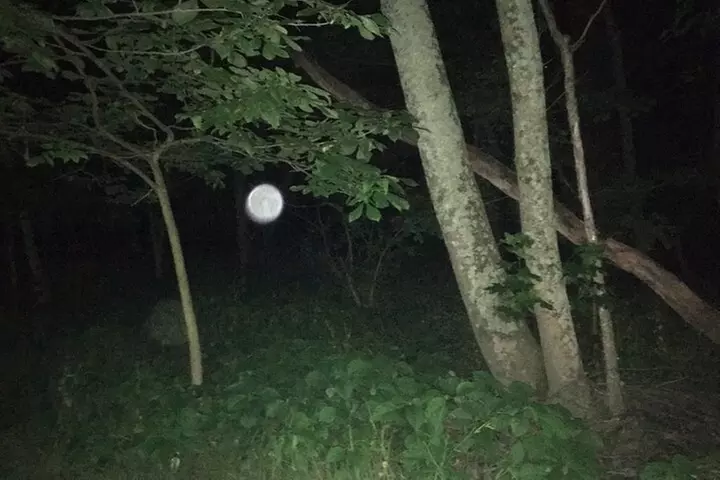 Fright Night Investigation - Small Group Gettysburg