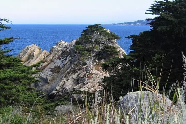 Guided 2-Hour Point Lobos Nature Walk