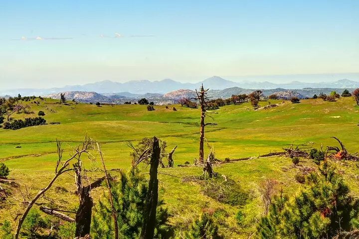 Apple Pies & Desert Skies: A Self-Guided Driving Tour