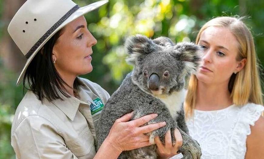 Image 5: Currumbin Wildlife Sanctuary and Byron Bay Day Tour in Chinese