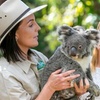 Image 5: Currumbin Wildlife Sanctuary and Byron Bay Day Tour in Chinese
