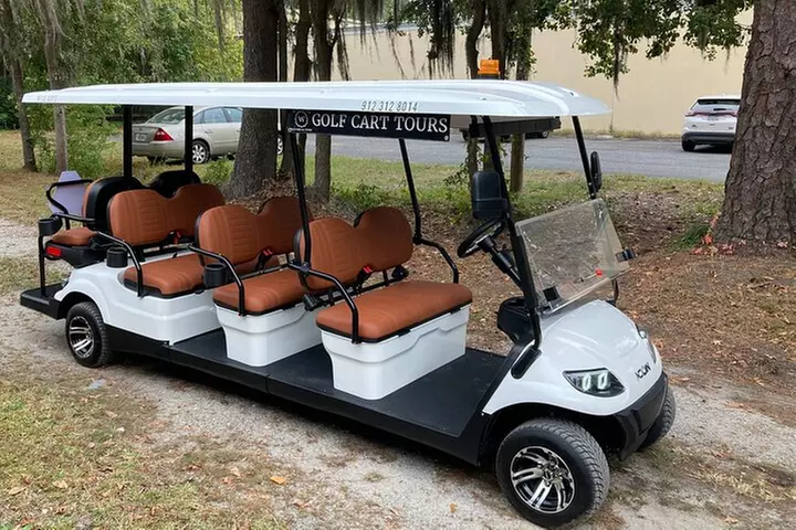 1-Hour Bonaventure Cemetery Golf Cart Guided Tour in Savannah