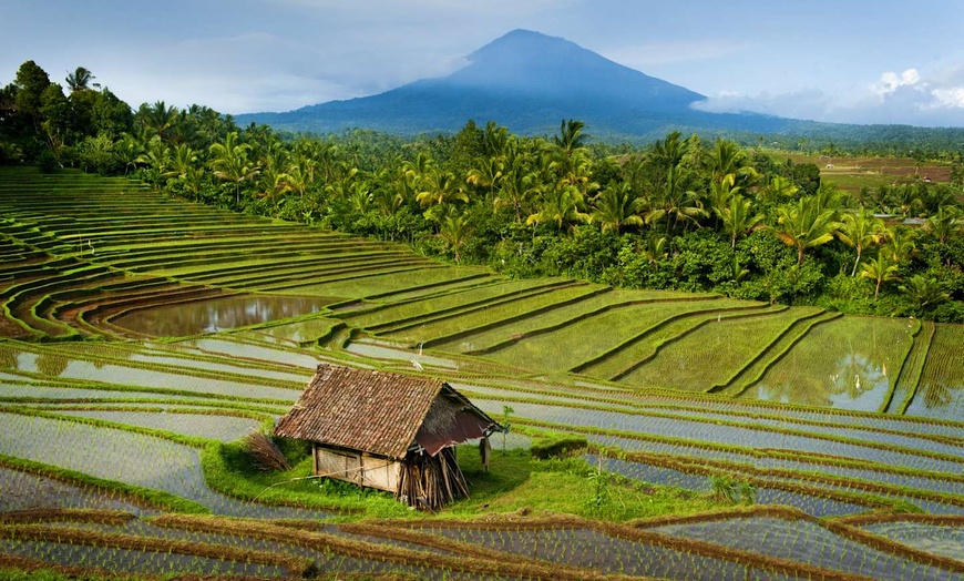 Image 7: ✈ INDONÉSIE | Bali & Nusa Penida - Immersion à Bali : entre plages ...