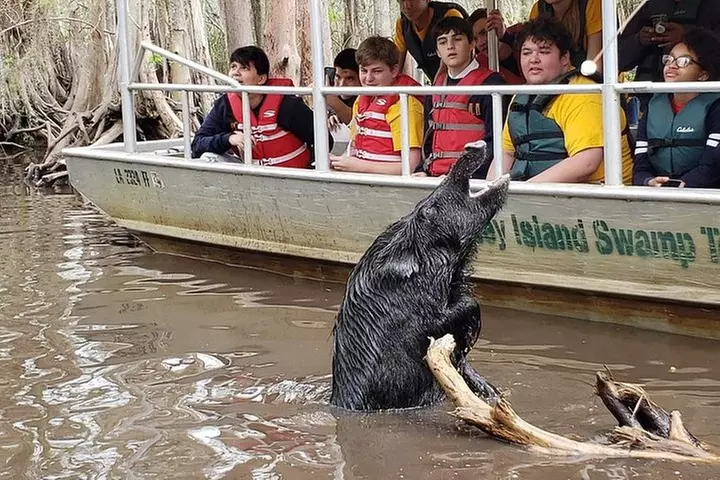 Honey Island Swamp Boat Tour - Primary Image