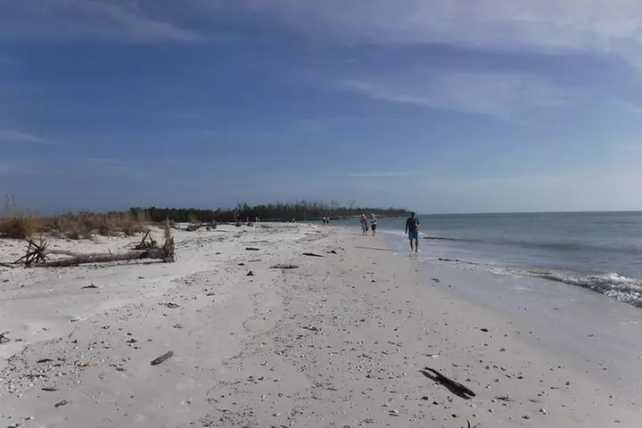 2-hour Shelling Boat Tour in the 10,000 Islands