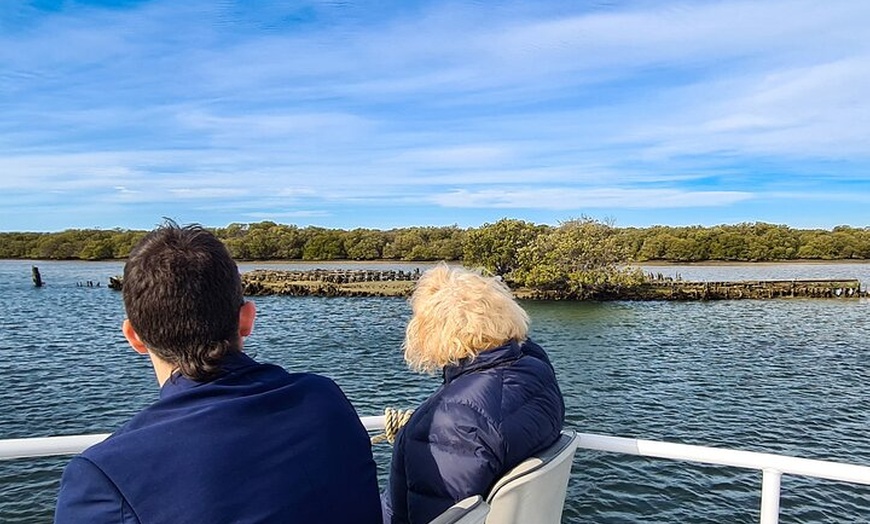 Image 7: 90 Minute Port River Dolphin & Ships Graveyard Cruise