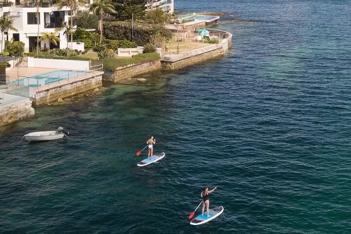 Stand Up Paddle Board Hire - 2 Hours