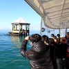 Image 4: 1.5hour Scenic and Wildlife luxury cruise