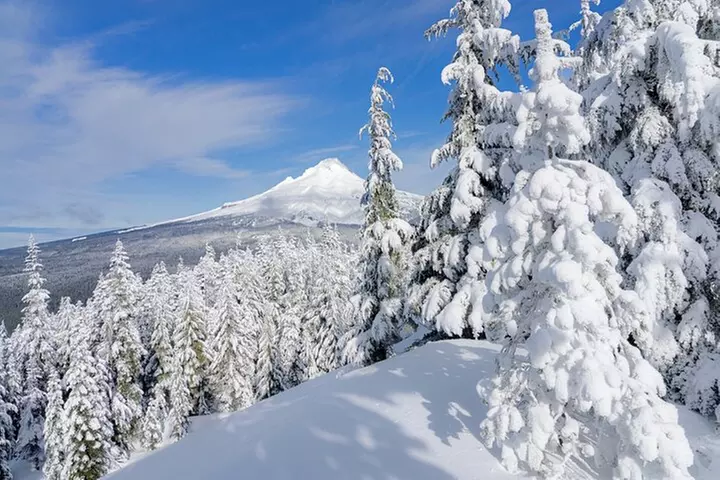 Mt. Hood Winter Wonderland Snowshoe Adventure